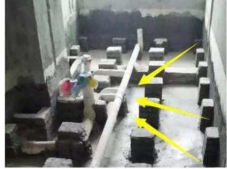 1534924811282795.jpg 墩子.jpg